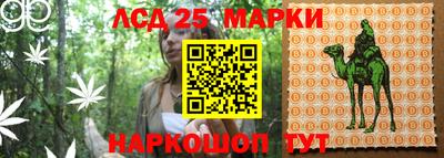 ПСИЛОЦИБИНОВЫЕ ГРИБЫ Кунгур