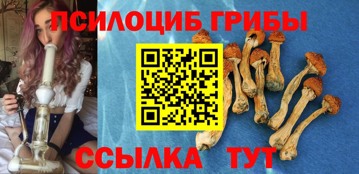 Галлюциногенные грибы Psilocybine cubensis  Вход с VPN  Коломна 